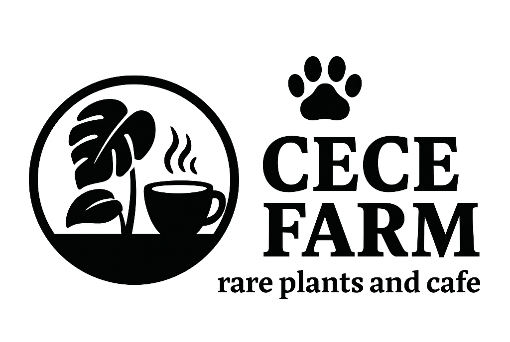 cece Farm Chiang Mai